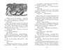 Оруженосец Кашка (Классная литература) 356628283