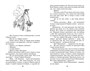 Витя Малеев в школе и дома (Классная литература) 1344787408