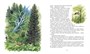 Васюткино озеро. Рассказы (Классная классика) 72917246