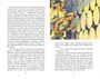 Как я ловил человечков 61326557