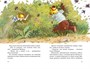 Все сказки Волшебного леса 562227962