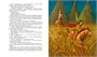 История, конца которой нет (с цветными иллюстрациями) 653705077