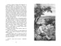 Малахитовая шкатулка. Сказы (Чтение-лучшее учение) 1818796442