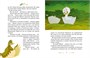 Гадкий утенок (илл. Союзмультфильм и др.) 1198099559