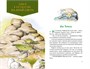 Все приключения Тафити 1891806483