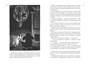 Всё о Муми-троллях. Книга 2 1707219101