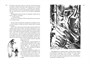 Всё о Муми-троллях. Книга 2 1707219101