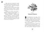 Финник 2. Официальная новеллизация 1010041613