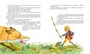 Чудесное путешествие Нильса с дикими гусями (Классная классика) 571961736