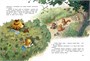 Большая книга сказок волшебного леса 705673225