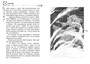 София и мышиный лорд. Возвращение в Волшебные миры 1514625994