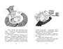 Маленькая волшебница Айви Ньют. Книга 3. Клыкастые приключения 635869455