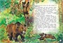 Большая книга рассказов 522669753