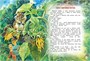Большая книга рассказов 522669753