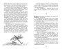 Чудесное путешествие Нильса с дикими гусями (Классная литература) 571675231