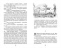 Чудесное путешествие Нильса с дикими гусями (Классная литература) 571675231