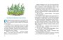 Урфин Джюс и его деревянные солдаты (Авторская серия А.Волкова) 883032488