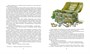 Остров Сокровищ (Классная классика) 1756525105