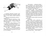 Маленькая волшебница Айви Ньют. Книга 1. Опасный день рождения 1086009676