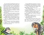 Сказки (Классная литература) 1417559315