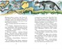 Сказки (Классная литература) 1417559315