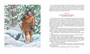 Сибирочка (илл) 1726508683