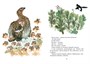 Друзья (интегральный) 1562030230
