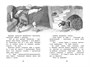 Золотой ключик, или Приключения Буратино 1549997642