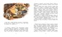 Рассказы о юных героях 1845810444