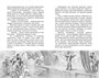 Электроник - мальчик из чемодана (Классная литература) 218709685