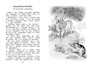 Рассказы и сказки (илл. Екатерина Петрова и др.) 247232015