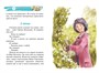 Дневник Коли Синицына (Библиотечка Незнайки (мини)) 890296680