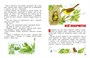 Мамины сказки (Уютные сказки) 1837942878