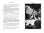 Рожденная огнем. Книга 2. Феникс и ледяной дворец 442192496