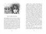 Бесшабашный. Книга 4. По серебряному следу. Дворец из стекла 2047854520