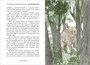 Приключения маленького носорога 239726890