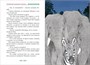 Приключения маленького носорога 239726890