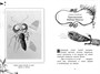 Гримвуд в опасности 1013310196