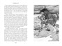 Питер Пэн и Венди. Дети воды. Ветер в ивах (илл. Э. Б. Вудворд, У. Х. Робинсон, А. Рэкхэм) 78585169