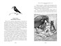 Питер Пэн и Венди. Дети воды. Ветер в ивах (илл. Э. Б. Вудворд, У. Х. Робинсон, А. Рэкхэм) 78585169