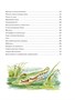 Большая книга волшебных сказок 1099861885