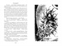 Гай-до. Конец Атлантиды. Приключения Алисы 1881841090