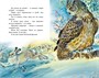 Рассказы о животных (Виталий Бианки и др.) 1497823679