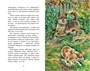 Рассказы о животных (Виталий Бианки и др.) 1497823679
