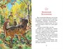 Рассказы о животных (Виталий Бианки и др.) 1497823679