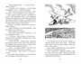 Тайна дремучего леса 1558262542