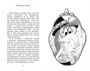 Кот колдуньи Молли. Волшебство наоборот 301909588