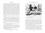 Приключения Тома Сойера и Гекльберри Финна (илл) 129137758