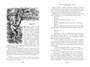 Приключения Тома Сойера и Гекльберри Финна (илл) 129137758