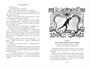 Астрель и Хранитель Леса и другие приключения волшебника Алёши 727130350